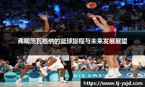 mk体育官网入口